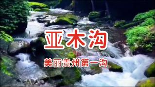 逃出漂亮花谷