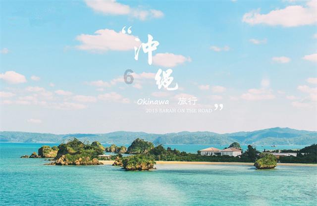 蛇蛇争霸